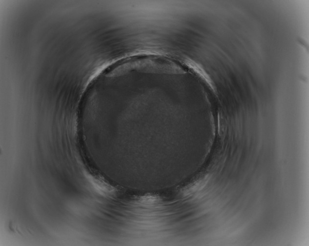 X0000097510204200803071832