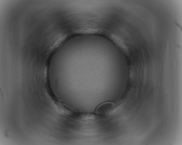 X0000097510206200803071832