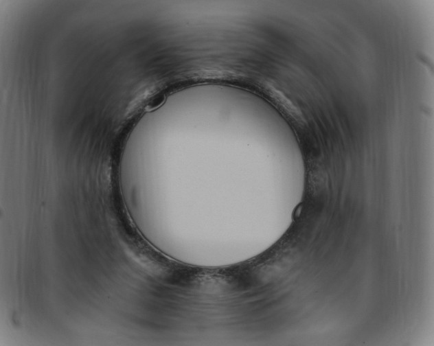 X0000097510207200803071832