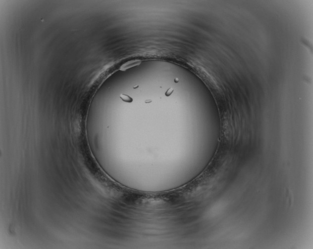 X0000097510208200803071832