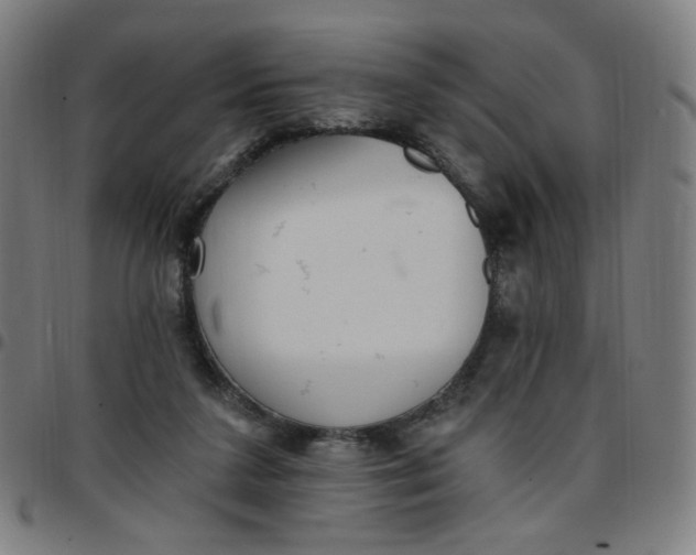 X0000097510211200803071832