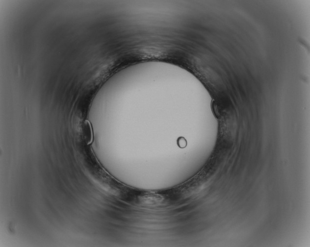 X0000097510215200803071832