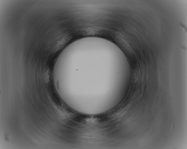 X0000097510216200803071832