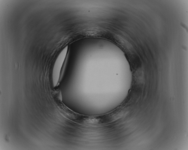 X0000097510217200803071832