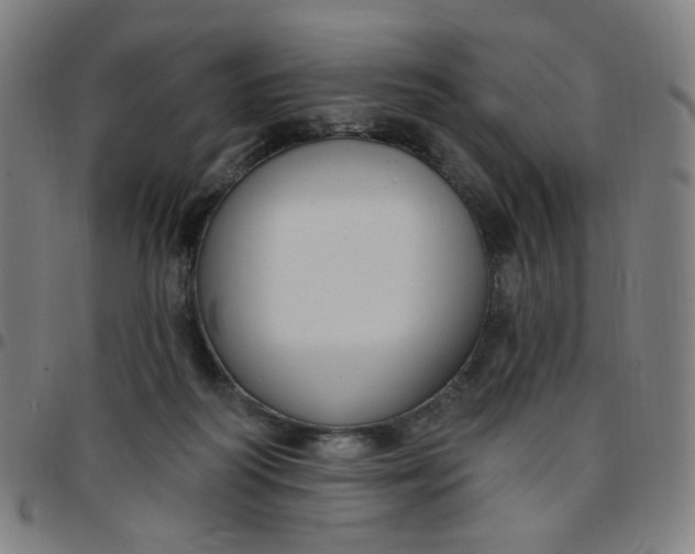 X0000097510218200803071832