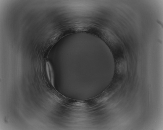 X0000097510219200803071832