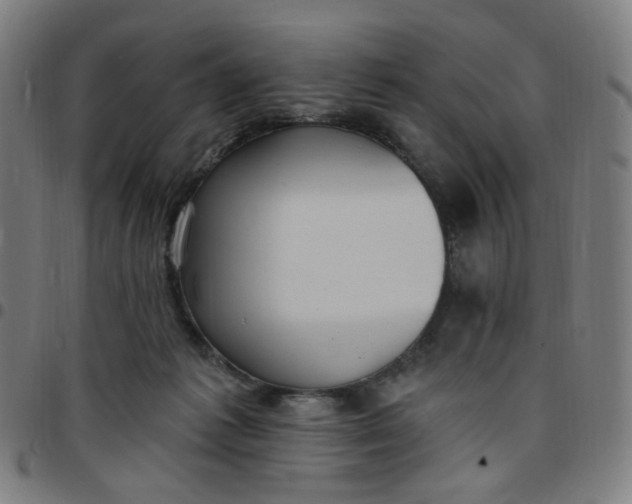 X0000097510221200803071832