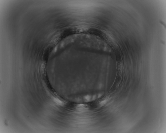 X0000097510222200803071832