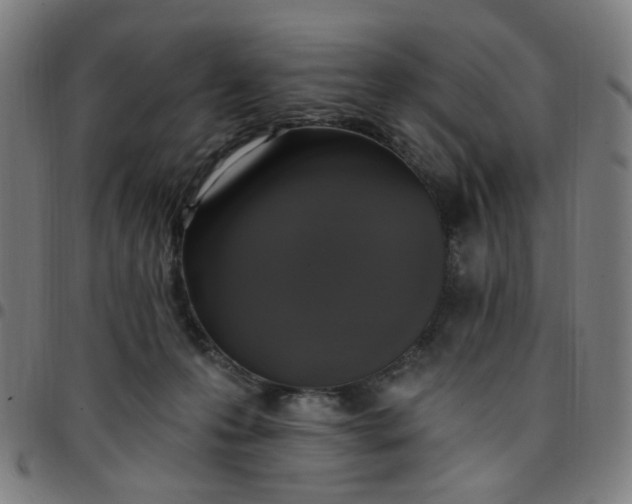 X0000097510223200803071832