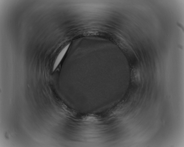 X0000097510224200803071832