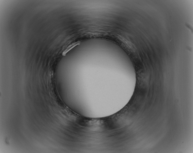 X0000097510225200803071832