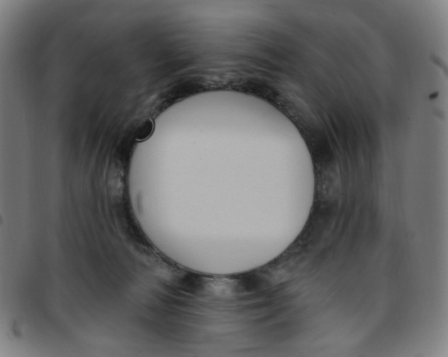 X0000097510226200803071832