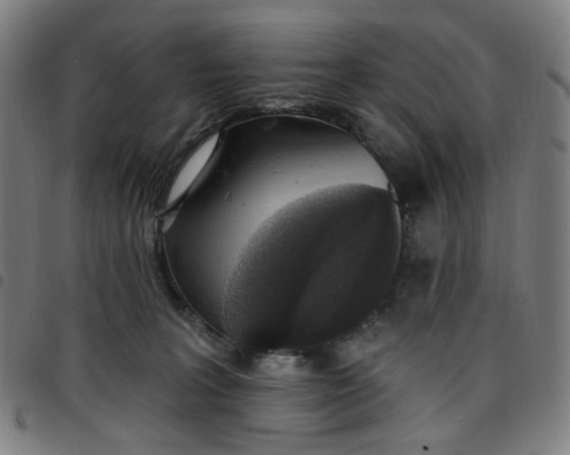 X0000097510227200803071832