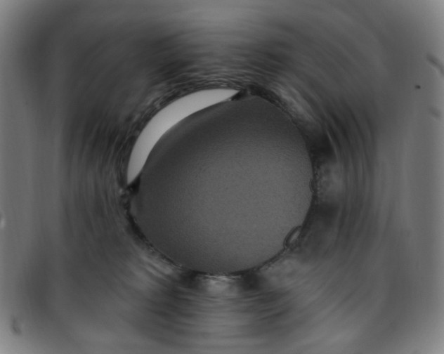 X0000097510229200803071832