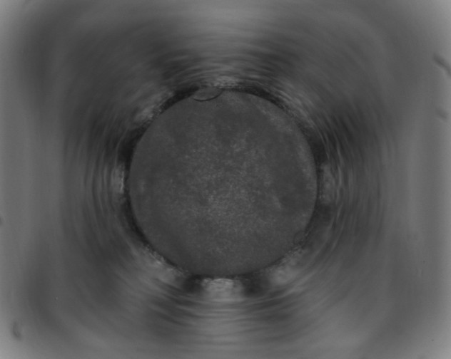 X0000097510230200803071832