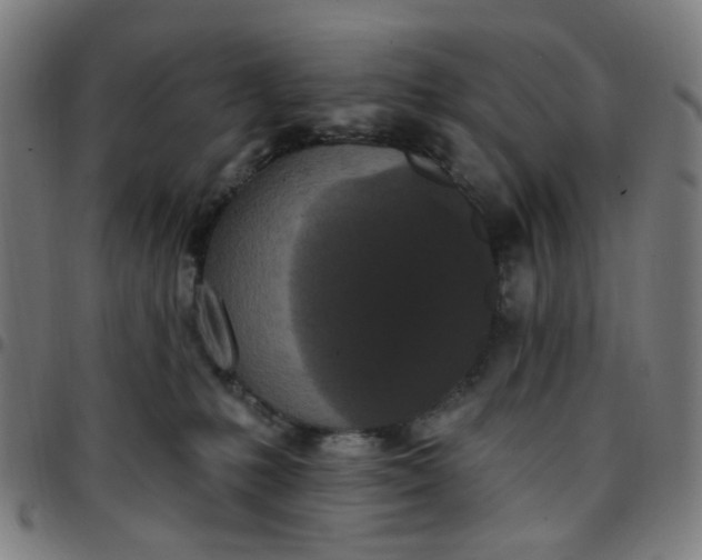 X0000097510231200803071832