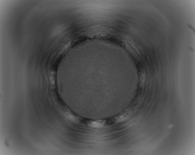 X0000097510232200803071832