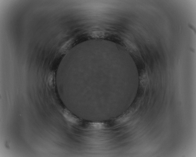 X0000097510233200803071832