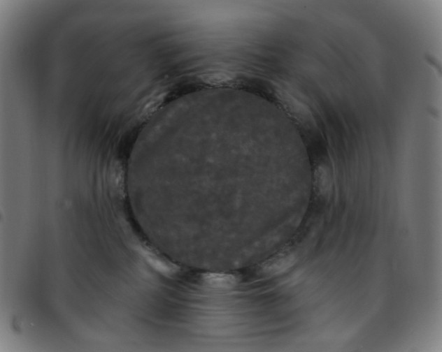 X0000097510234200803071832