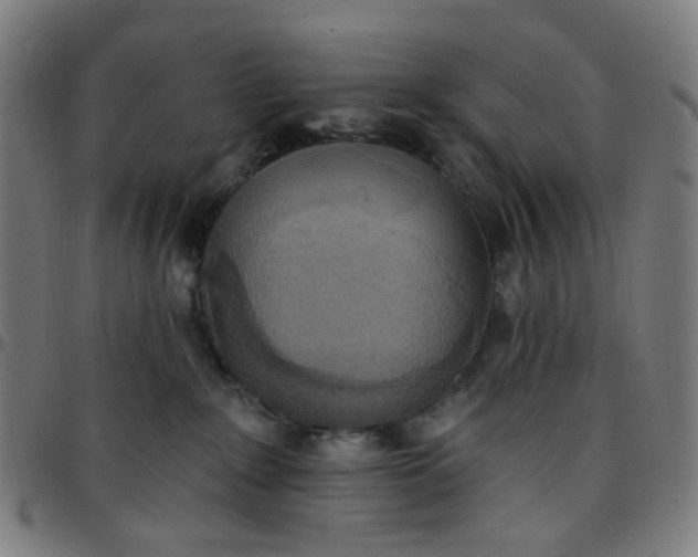 X0000097510235200803071832