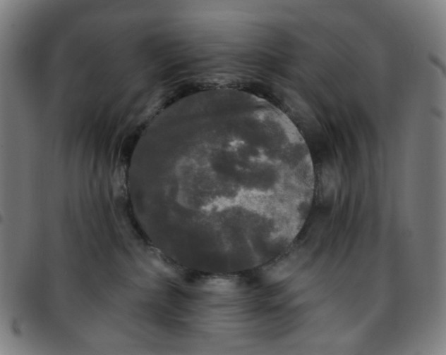 X0000097510236200803071832