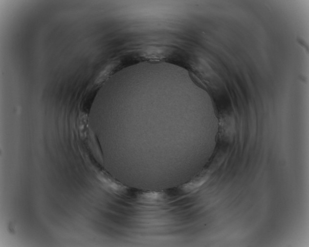 X0000097510237200803071831