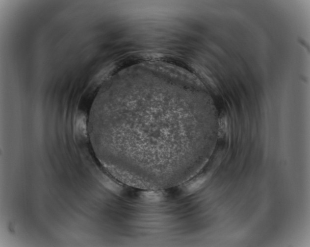 X0000097510238200803071831