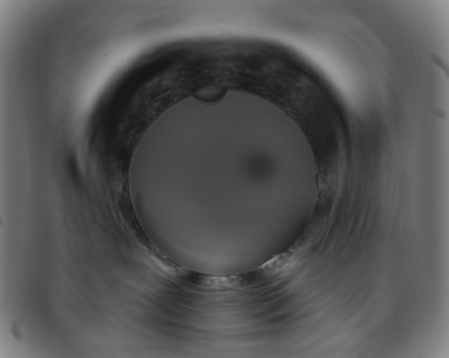 X0000097510239200803071831