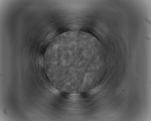 X0000097510240200803071831