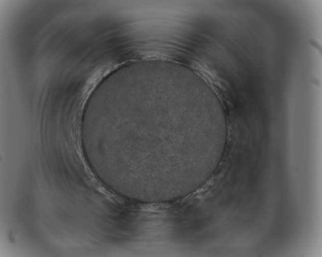 X0000097510241200803071831