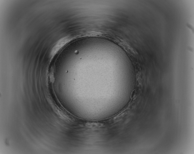 X0000097510242200803071831