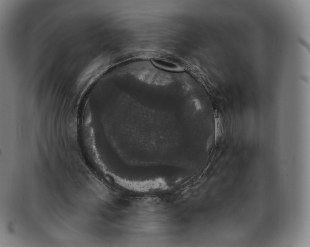 X0000097510243200803071831