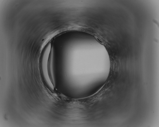 X0000097510244200803071831