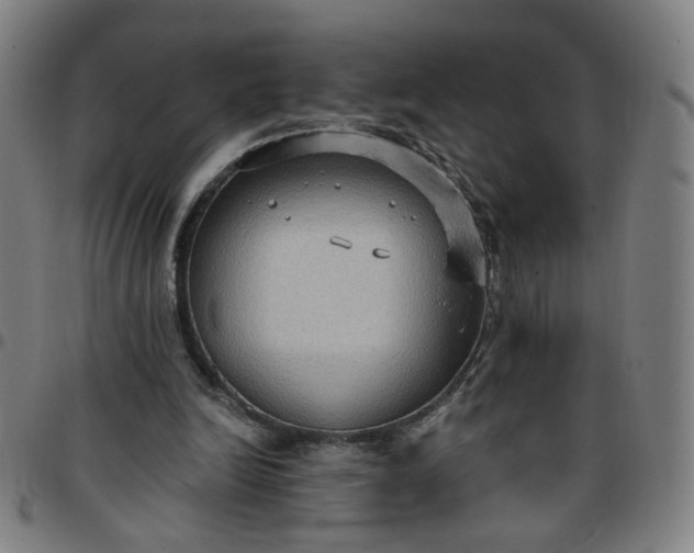 X0000097510246200803071831