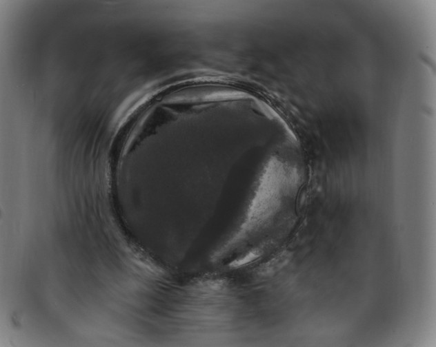 X0000097510247200803071831