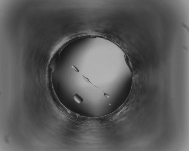 X0000097510248200803071831