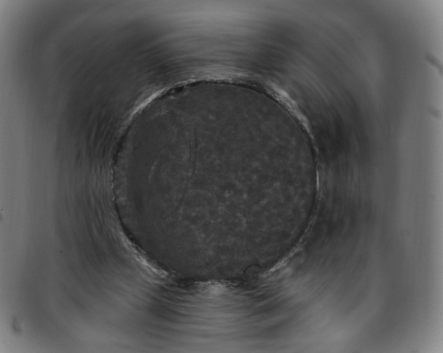 X0000097510249200803071831