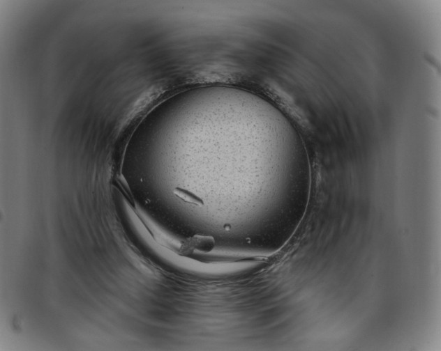 X0000097510250200803071831