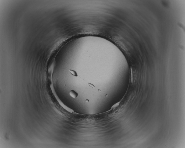 X0000097510252200803071831