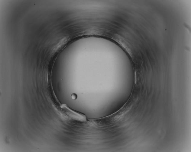 X0000097510253200803071831