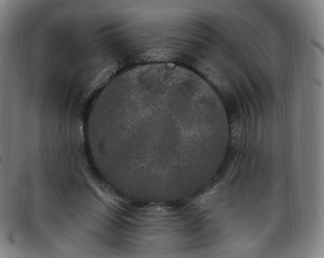 X0000097510254200803071831