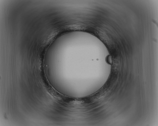 X0000097510255200803071831