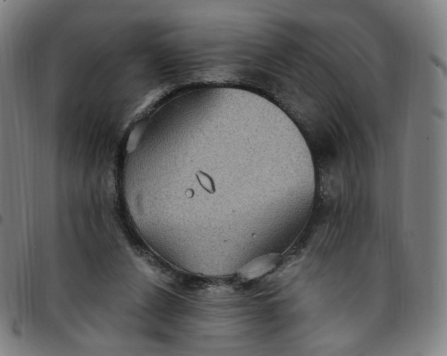 X0000097510256200803071831