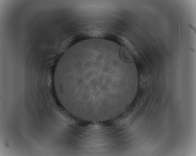 X0000097510259200803071831