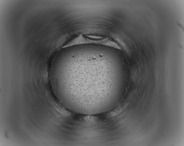 X0000097510261200803071831