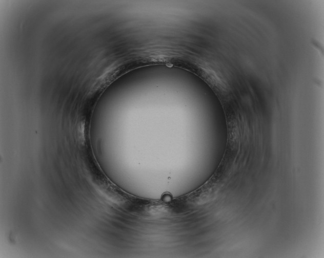 X0000097510262200803071831