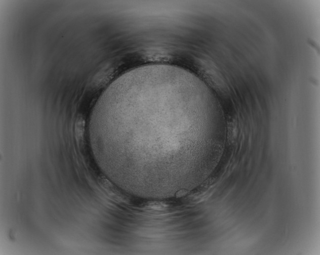 X0000097510263200803071831