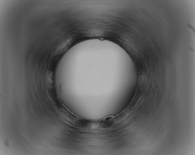 X0000097510264200803071831