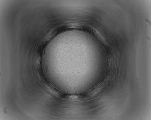 X0000097510265200803071831