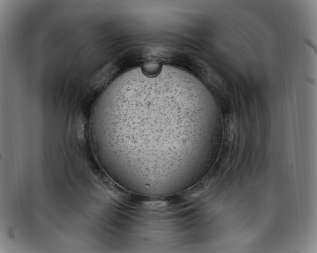 X0000097510266200803071831